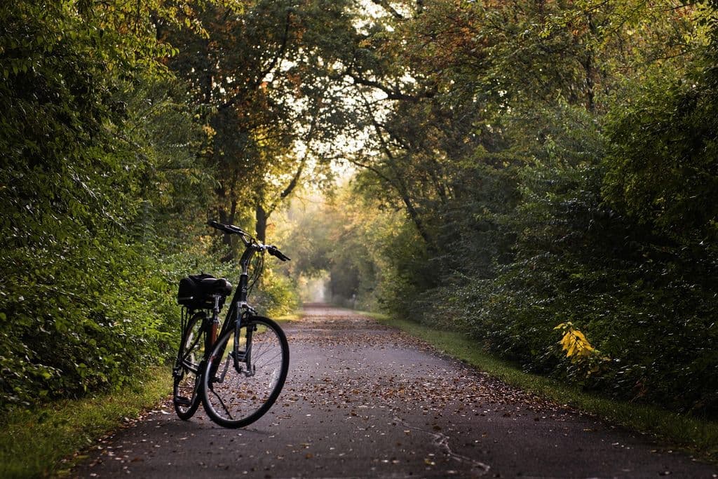 Una bicicleta en el bosque.